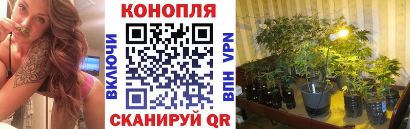 Названия наркотиков Белая Калитва СОЛЬ БУТИРАТ Codein ГАШ MEGA маркетплейс Конопля