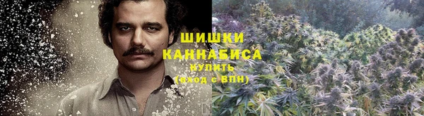 трава Алексеевка