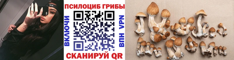 Галлюциногенные грибы мицелий  Белая Калитва 
